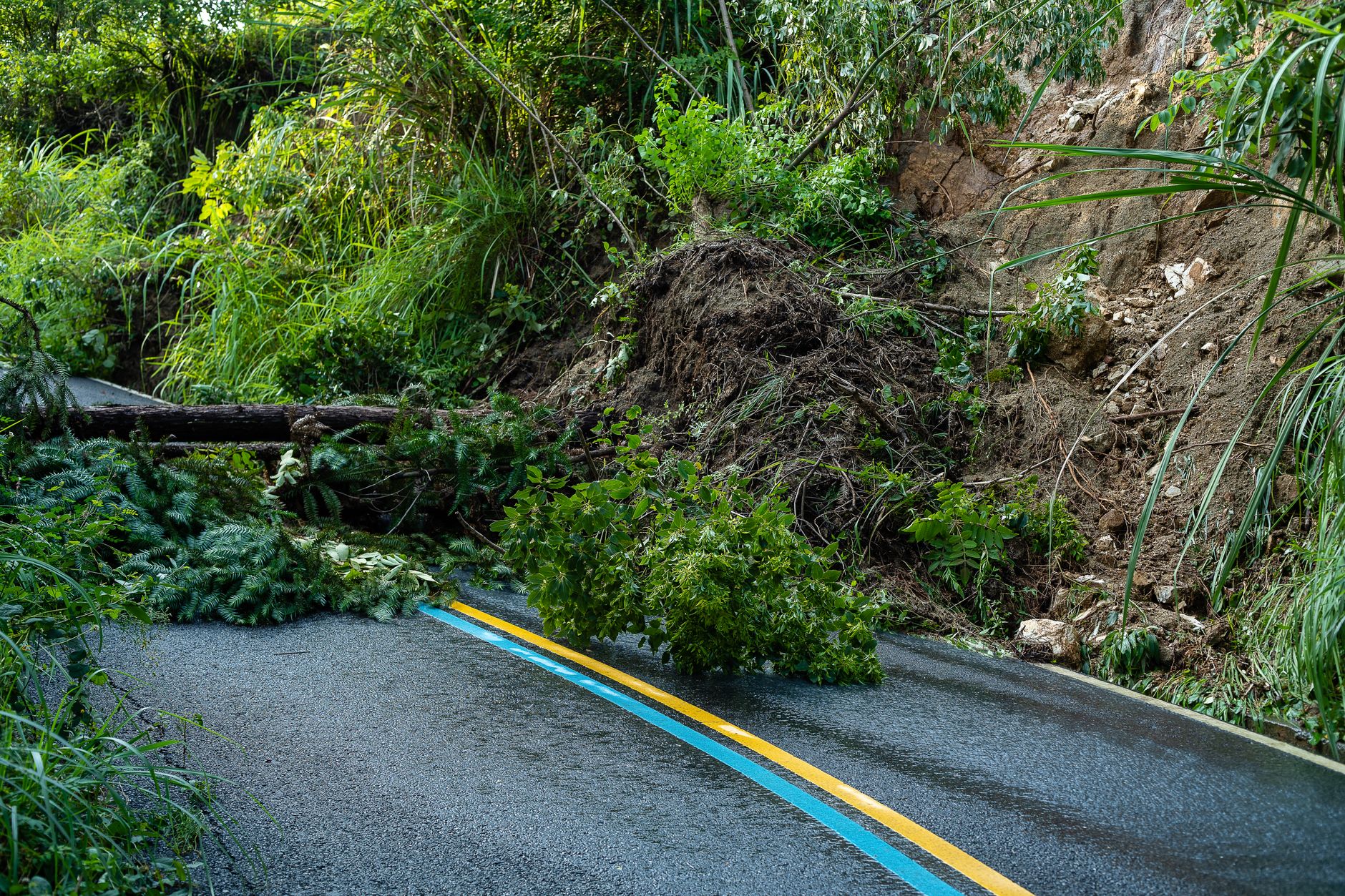 Accidents de la route : stratégies de sécurité à Maurice en 2026